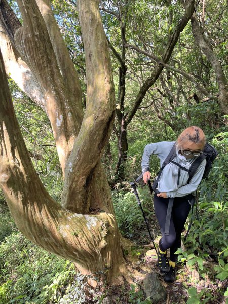舊白鷺部落-久保山-久集山-棚集山-丹林 2025.8.72863988