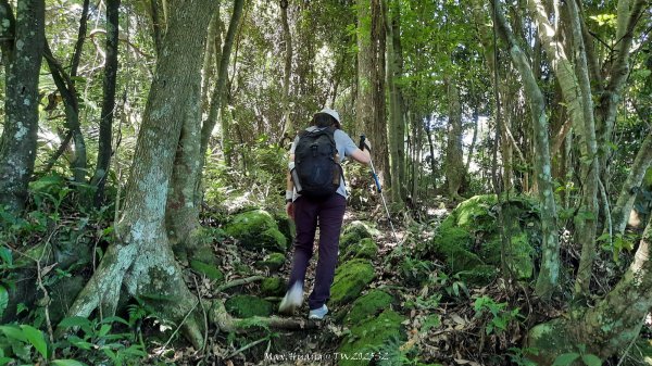 《新竹》沒那簡單｜關西赤柯山東獅頭山步道O繞202506152813523
