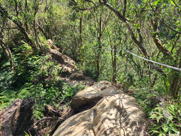 小百岳No.17⛰二格山2895575