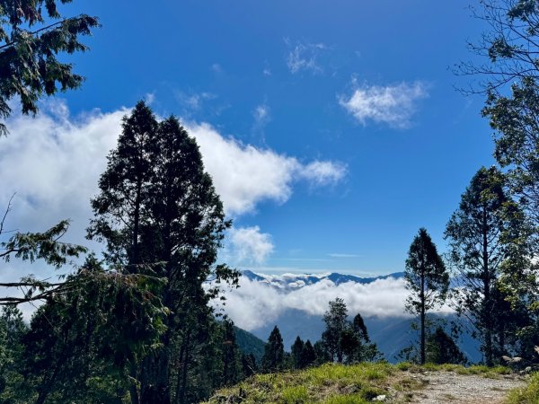 三星山(小百岳#85) 鳩之澤溫泉煮蛋趣2952832