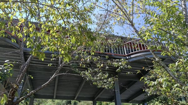 20251004 馬那邦山 - 珠湖 登山口2904960