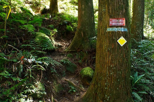 新竹 尖石 貴妃山、那結山2913605