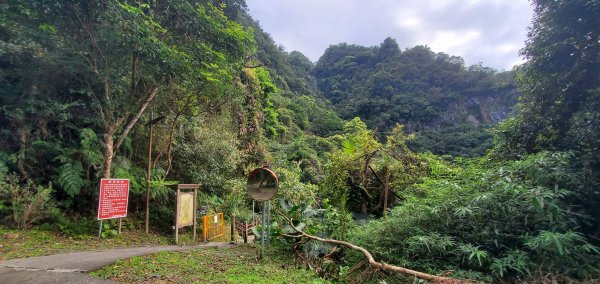 2022-03-12三角崙山登山步道1637858