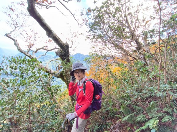 1121125 鳥嘴山縱走貴妃山2363963