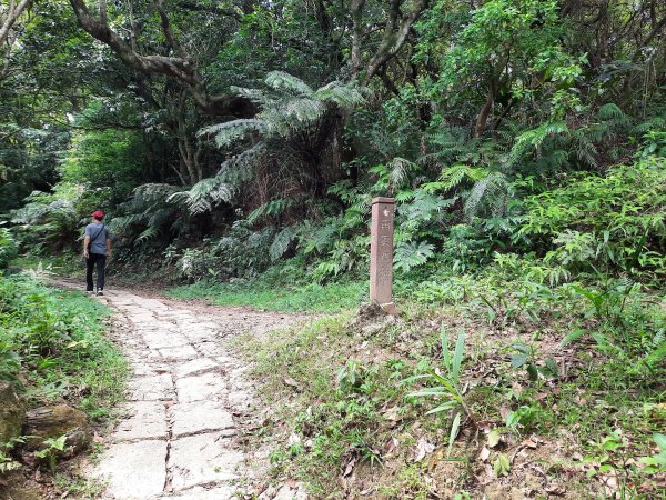 圓通寺烘爐地登山步道1425386