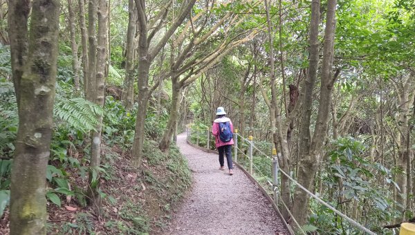 (姨婆趴趴走)第五十五集:攀登健走台北大崙頭尾山親山步道環狀一圈2853769
