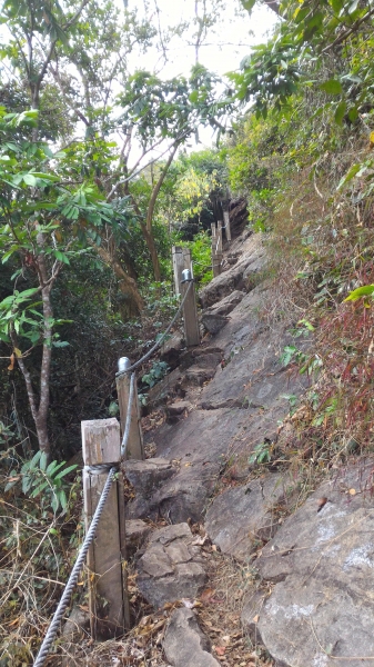 [台南.南化]龍麟山步道--登王爺崙山.賞龍麟奇岩92236