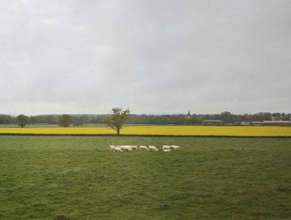 2025_0424 倫敦馬拉松順遊西歐 D6a(法國到義大利-阿爾卑斯山)2792056