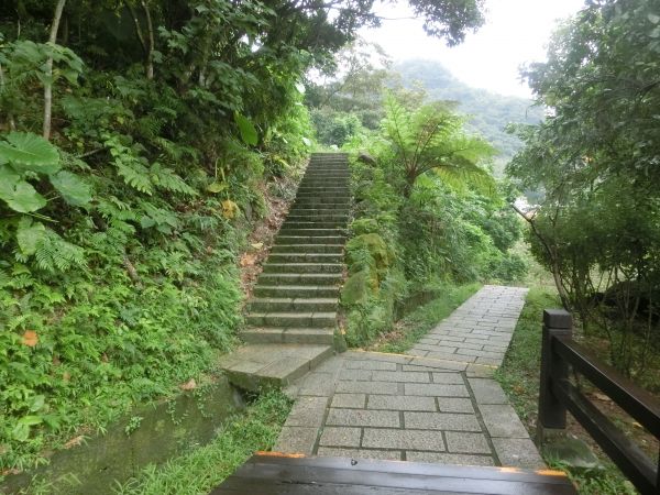 豹山溪步道．獅山．象山．和興炭坑198963