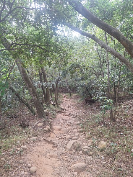 火炎山+南鞍古道O走202610143135318