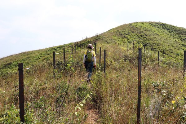 HK - 鐵坑，蛇嶺1268071