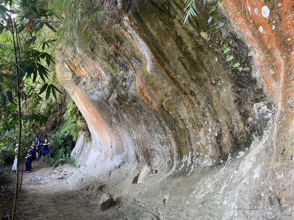 2025微笑山線大縱走尋寶集章任務-Ep.03【鳶山山系】鳶山彩壁段2893694