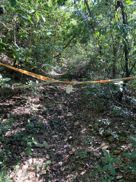 20250301屏東戶亞宇山主峰-基點峰2732977