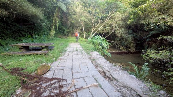 114.06.28內平林山-番子坑山-平湖森林遊樂區之O型2824295