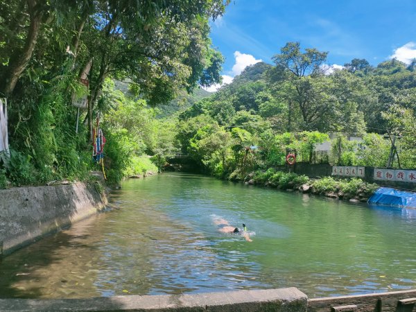 『柯子林天然游泳池』+［五指山古道］（新北汐止）（2023/7/25）2233962