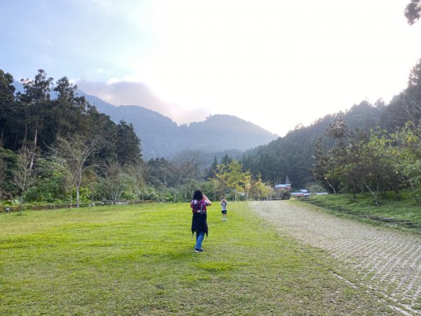 20191109貓仔們之溪頭森林步道探索757210