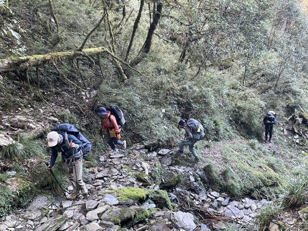 干卓萬橫斷 2024 11/29 四天三夜2865565