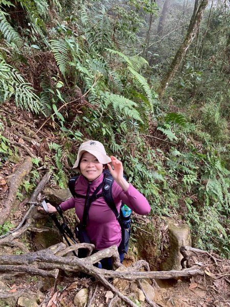 🌈1/18（日）忘憂森林×金柑樹山×溪頭天文台✨FB：熊熊趴爬走🌈2983950