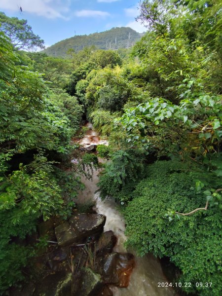 天母→猴洞→半嶺→第二展望臺→湖底步道→湖山國小步道→湖山綠地→前山公園→白雲瀑布【發現陽明山】2633839