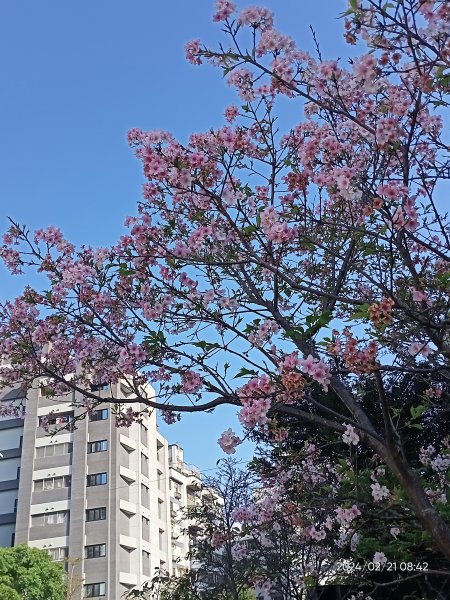 東湖樂活公園→内溝溪步道→內溝溪生態展示館→真武山→油桐嶺→內溝山→翠湖→北港二坑礦場遺址→金龍湖2433181