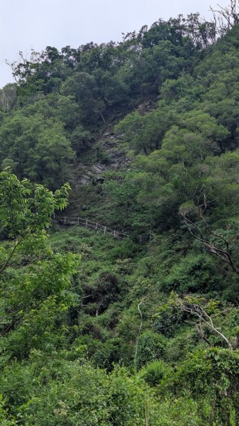 塔比多(tapido)步道2784620