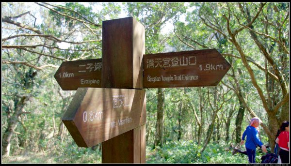 大屯山：向天池、向天山、面天山、大屯山915360