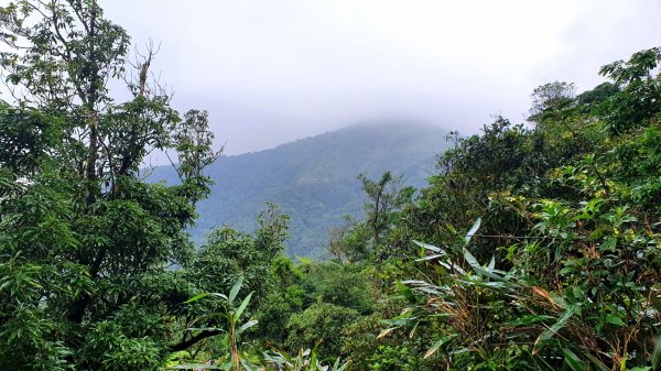 抹茶山，聖母登山步道，隆隆山，福卯古道，水柳腳登山步道，觀音台步道，北勢溪自行車道1742248