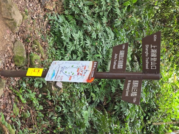 馬那邦山之雲海／雲瀑／楓紅／太陽琉璃光2668240