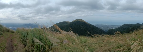北投區大屯山西南南峰+西南峰+大屯山西峰+太子碑+清天宮步道O型2957128