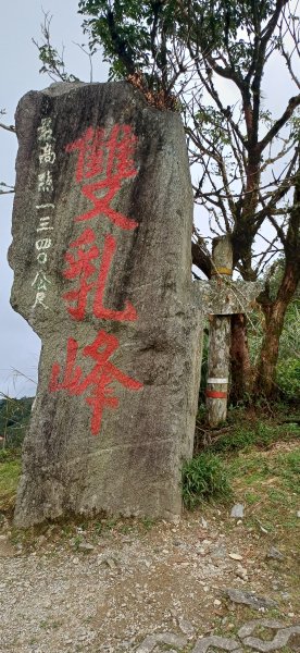 金針山.台東金峰2874663
