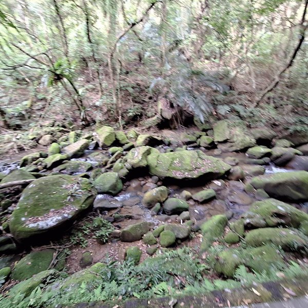 2025臺北大縱走第四段-風櫃口至大湖公園完成2761176