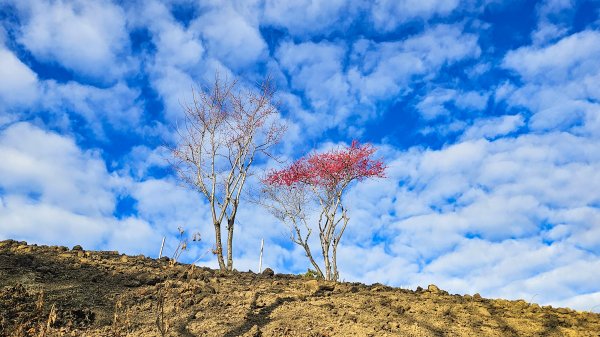 20260127獵人古道3031772