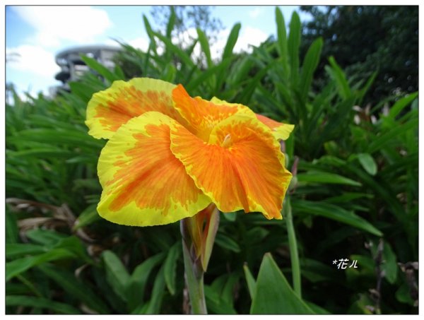 台北/植物園步道686773