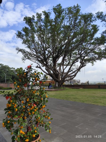 行天宮北投分宮、師大公園、臺北市立美術館2683323