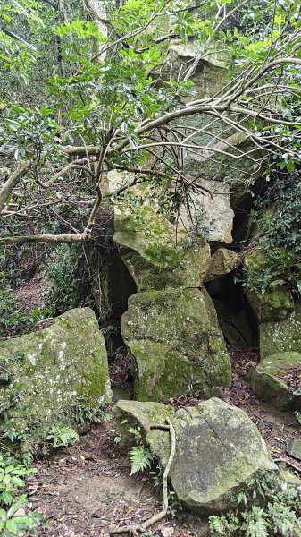 桃園金面山3077117