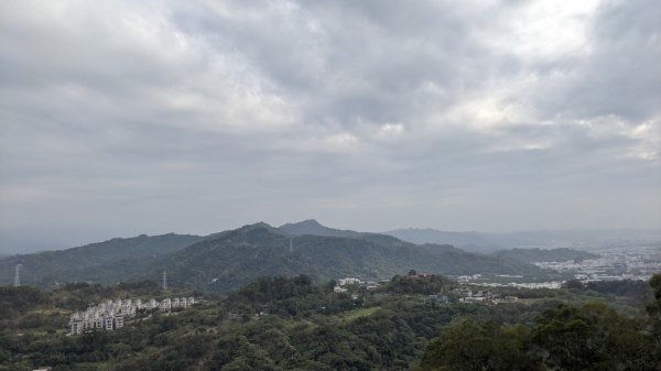 大坑 南觀音山2003440