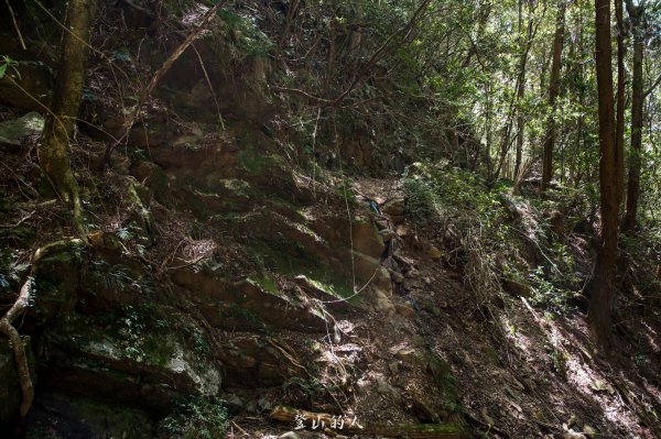 霞山鐵道野營2843131