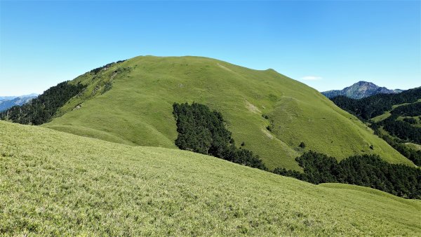 不一樣的角度欣賞奇萊南華之美登尾上山上深堀山經能高越嶺道兩日微探勘O型1886428