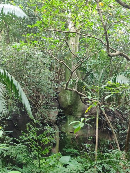 微笑山線之烘爐地土地公段2849200