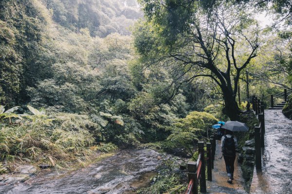 依舊白牆的抹茶山867796