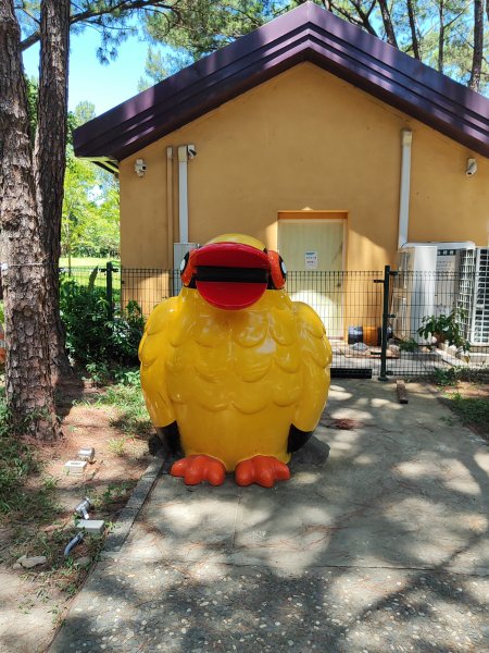 霄裡好風光 運動樂悠遊2827697