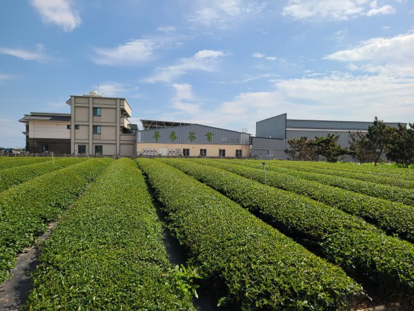 超級曬的一段小O2724205