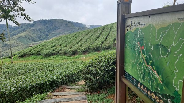 20240523嘉義梅山梨子腳山-太平老街-太平雲梯吊橋2511307