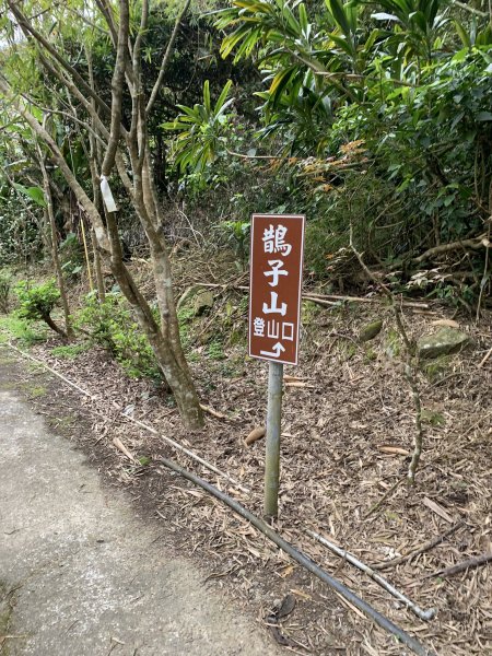 鵲子山（宜蘭礁溪）（小百岳）2530118