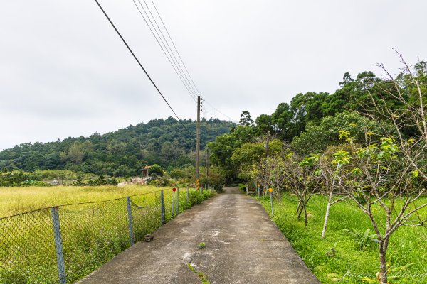 [宜蘭]鵲子山2932520