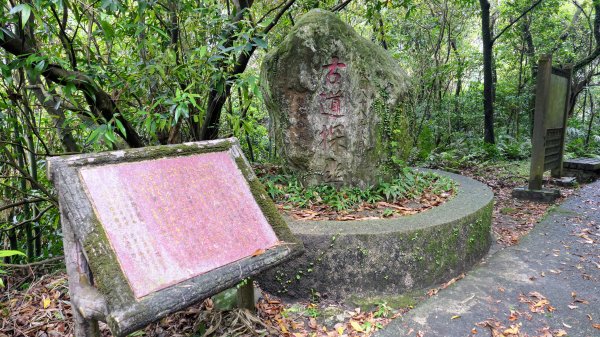 貂山古道,琉榔路觀光步道2590547