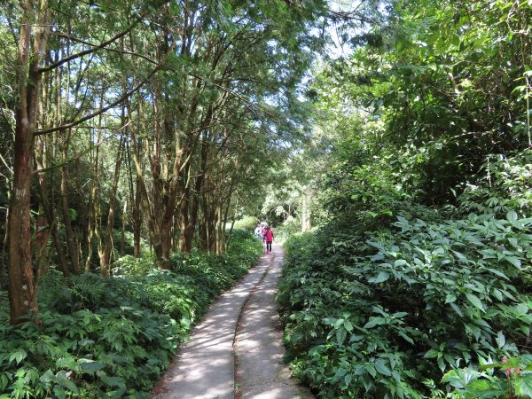 初探日湯真山1005989