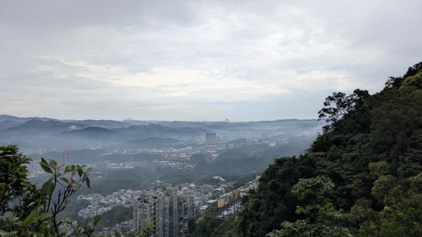 霧染大尖3074574