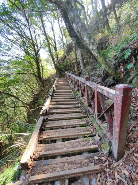 【睽違-南橫中之關步道】867625