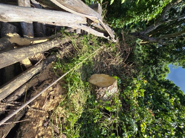 台中大坑四號登山步道（毀損）2563676